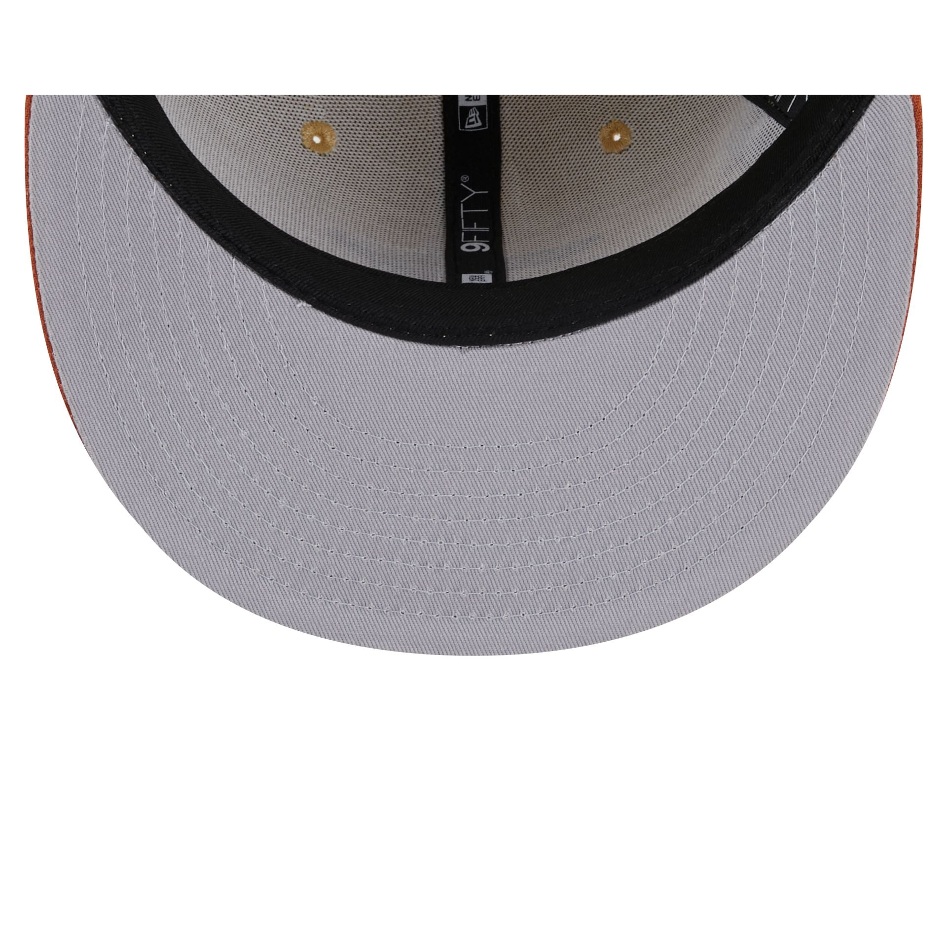 Houston Astros Fall Landscape 9FIFTY Snapback Hat