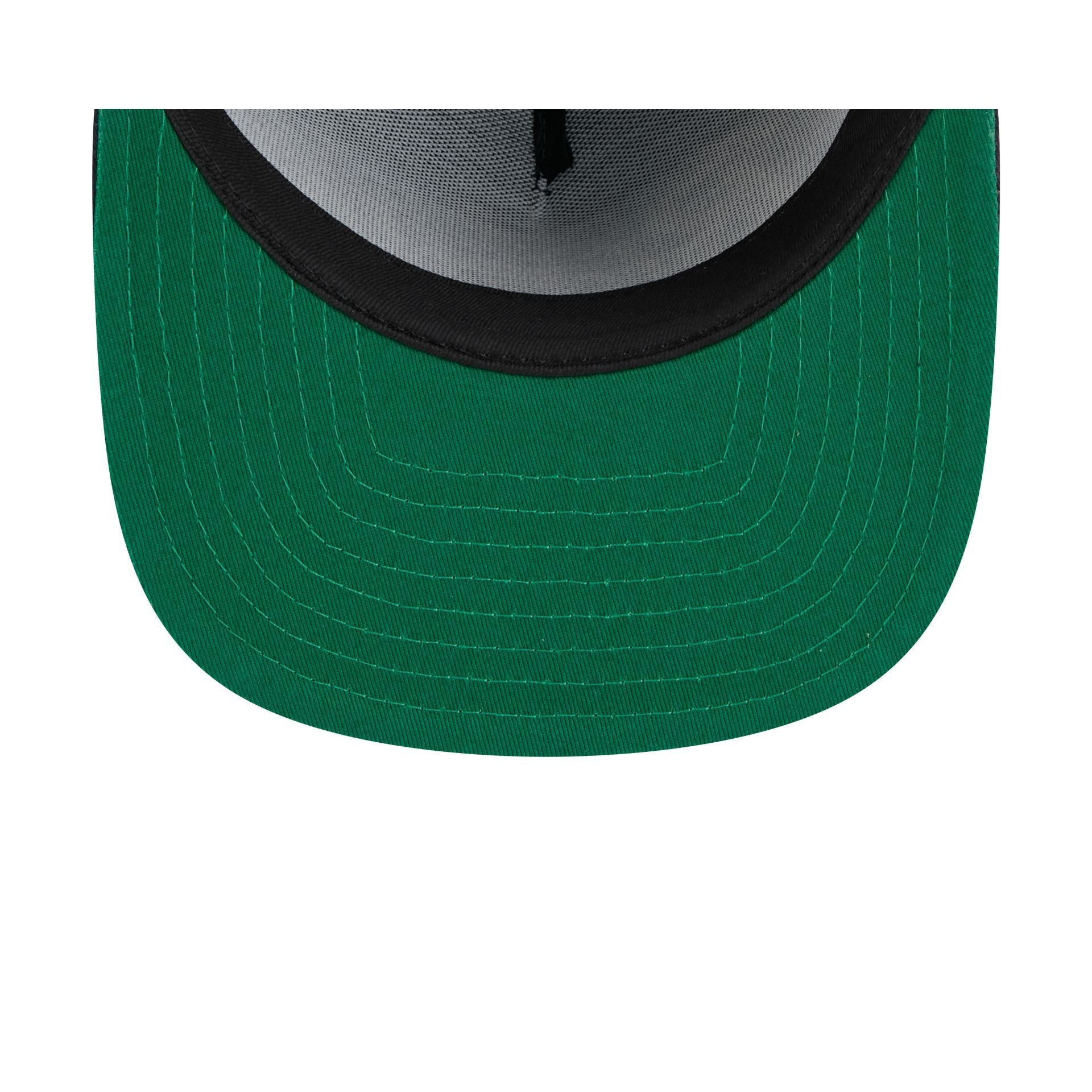 Houston Astros Craig Biggio 9FIFTY A-Frame Snapback Hat